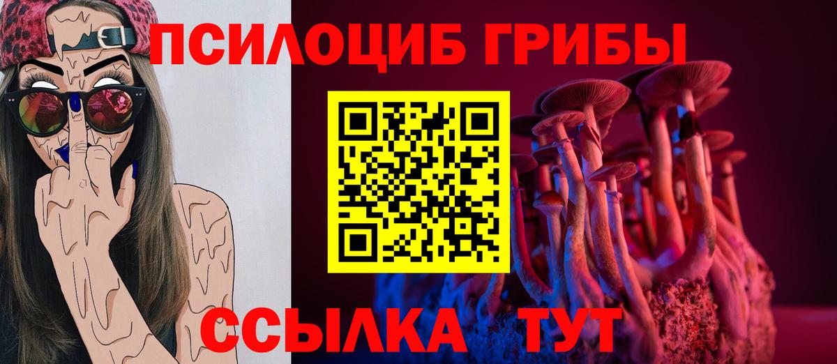 Псилоцибиновые грибы прущие грибы  Вход с VPN  Шадринск 